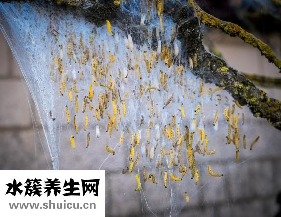 水質檢測多少為正常