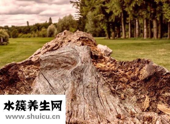 什么是頸椎病