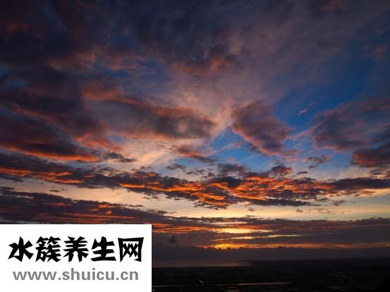 長智齒會發燒嗎