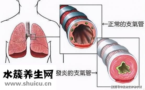 蓮花清瘟膠囊