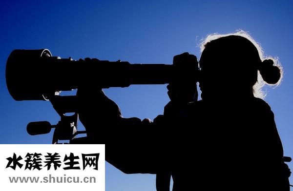 免費黃色網址