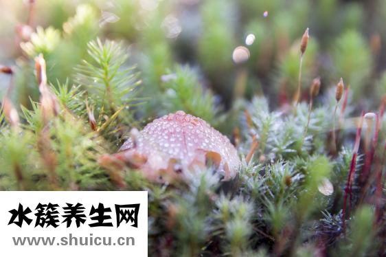 灰指甲圖片