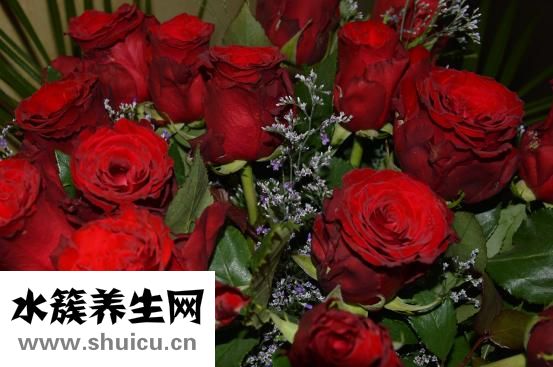 陽光玫瑰葡萄