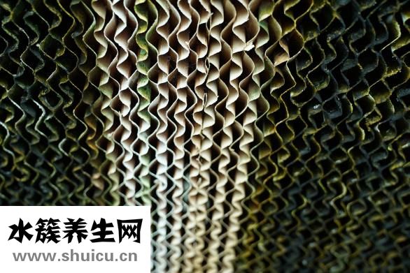 豆漿的做法和配方