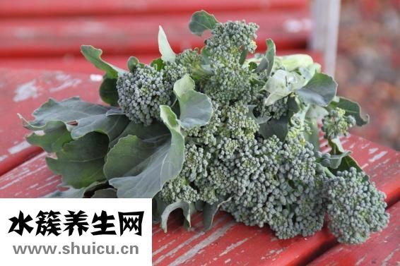 吃什么長頭發
