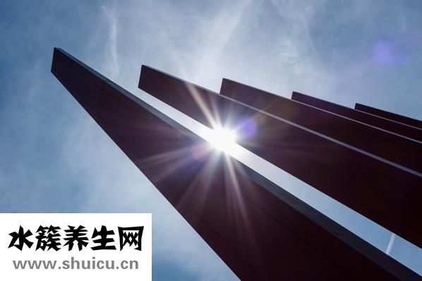 黃連上清片