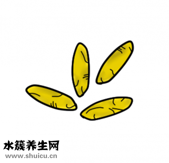 厄貝沙坦片