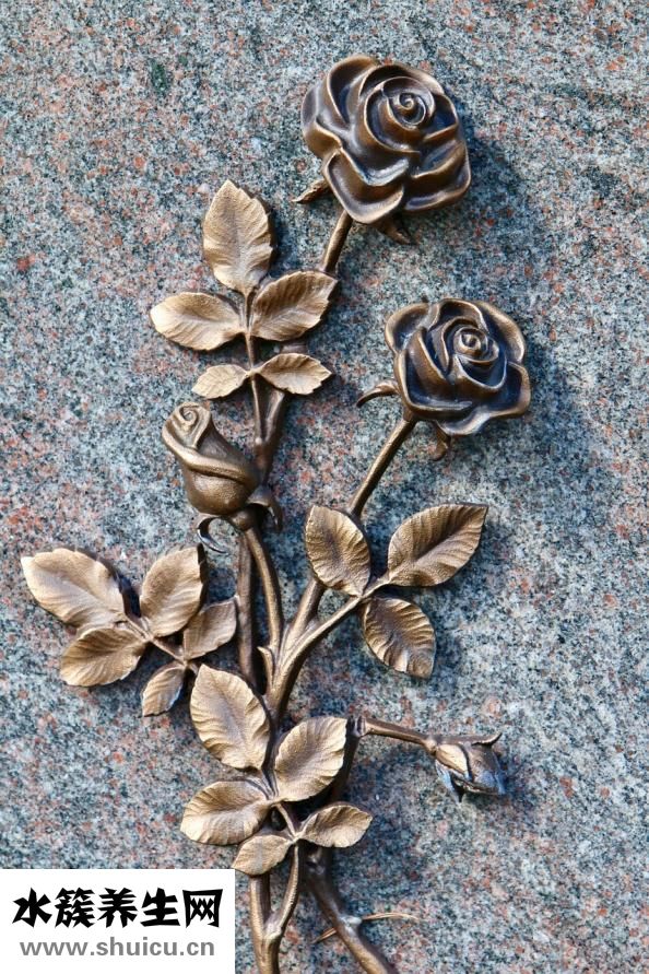 連花清瘟顆粒
