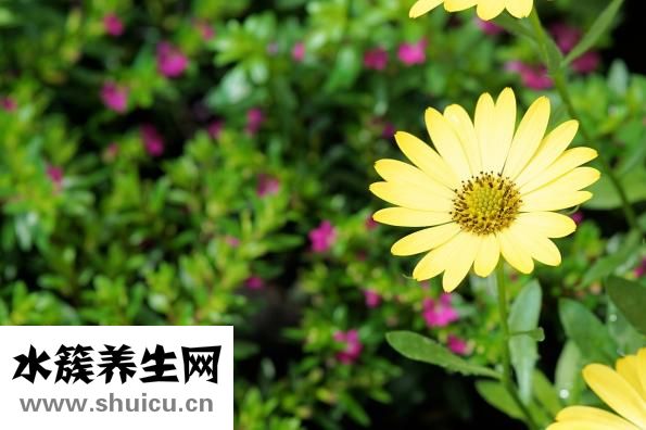 人體解剖圖