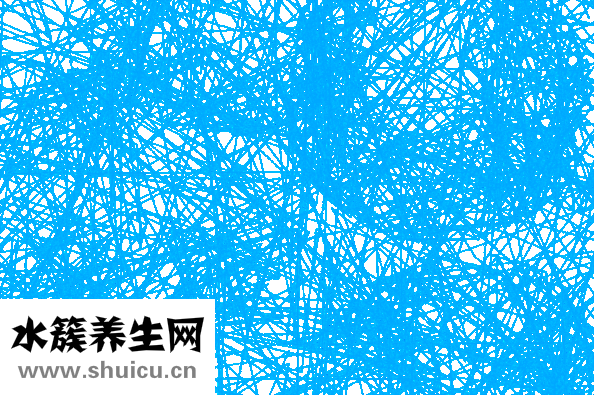 銀杏葉圖片