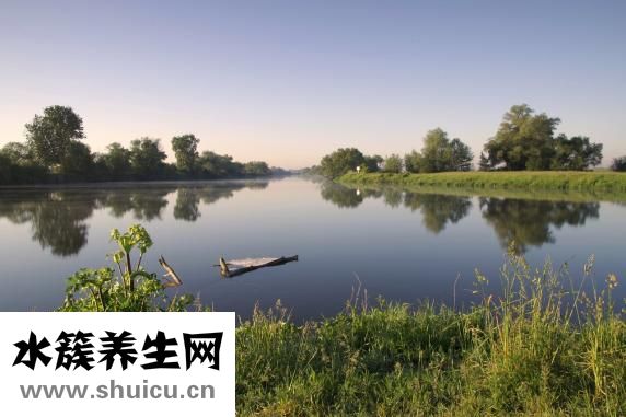 復方甘草片