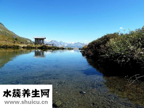 堿性磷酸酶