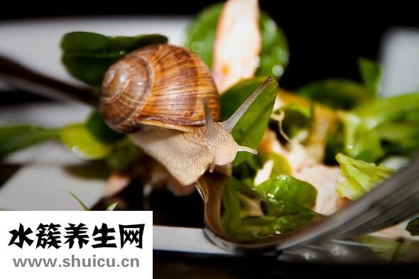死螃蟹能吃嗎