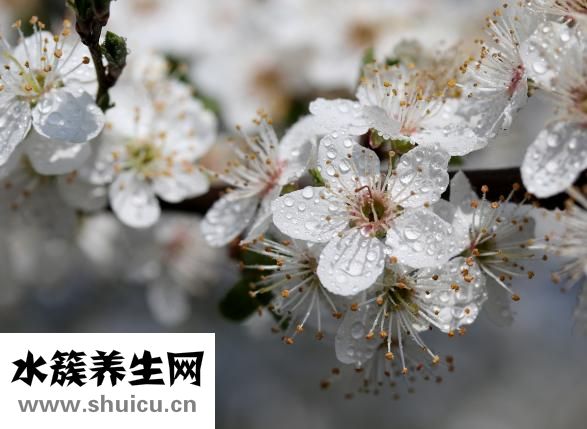 潰瘍性結腸炎