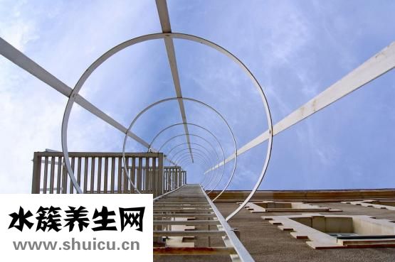 吃榴蓮的好處