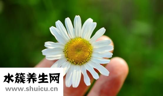 馬凡綜合征
