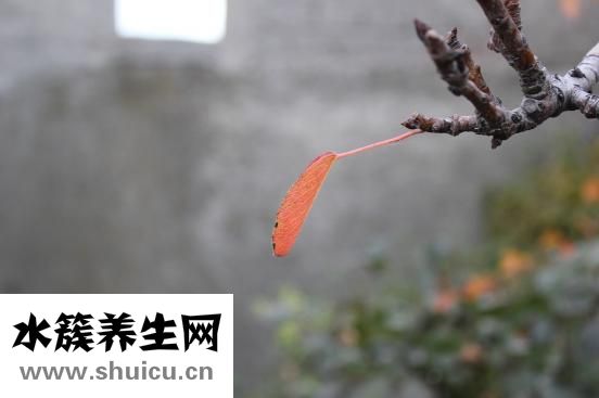 生孩子的過程