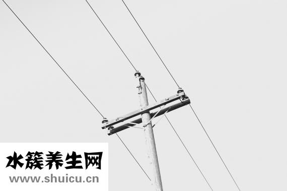 纈沙坦膠囊