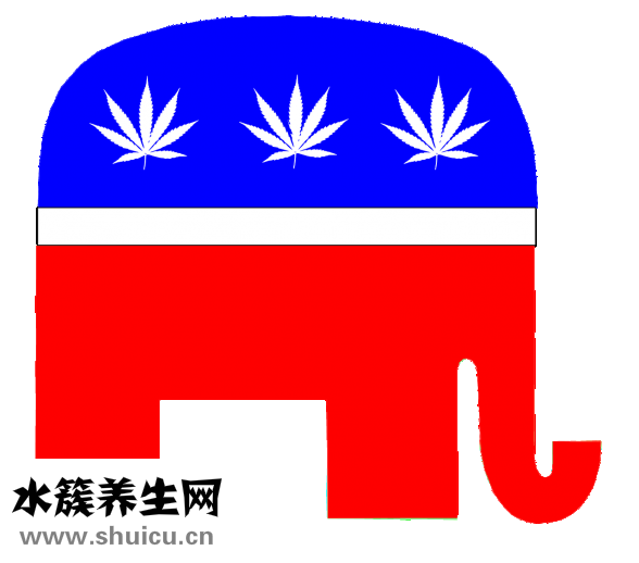 積雪苷霜軟膏