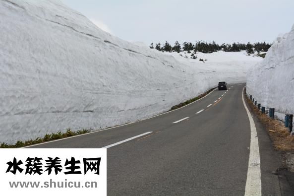 積雪苷霜軟膏