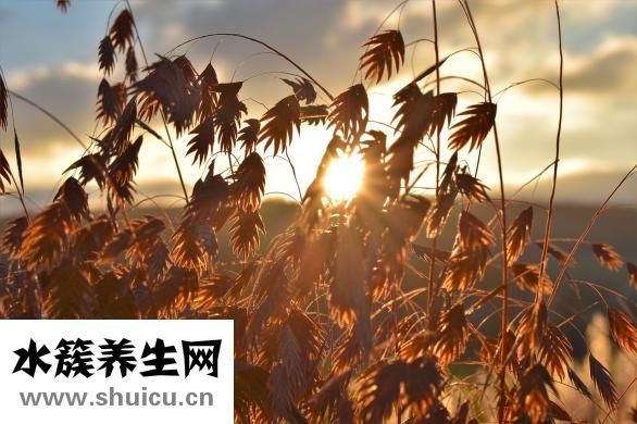 復合維生素