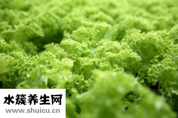 種植牙危害