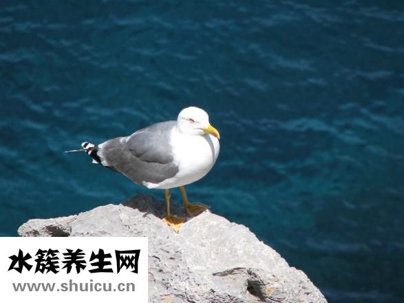 頸椎疼怎么辦