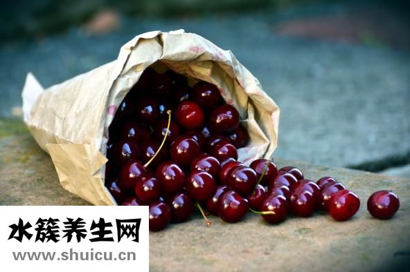 金貴腎氣丸