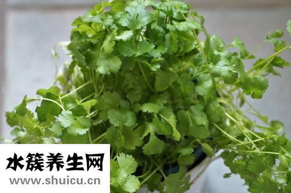 大閘蟹怎么吃