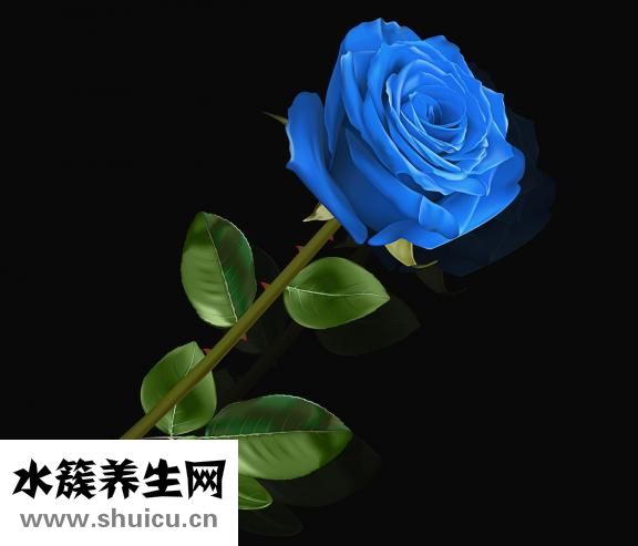 桔?；ǖ幕ㄕZ