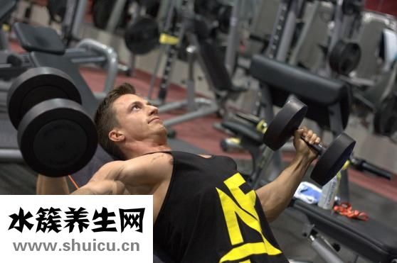 板栗的熱量