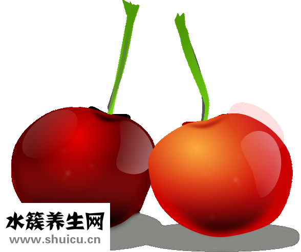 瑞珠滴眼液