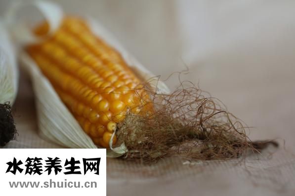 玉米的熱量