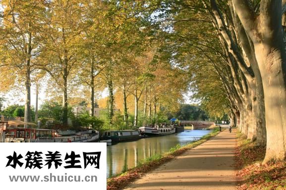 頭孢地尼膠囊