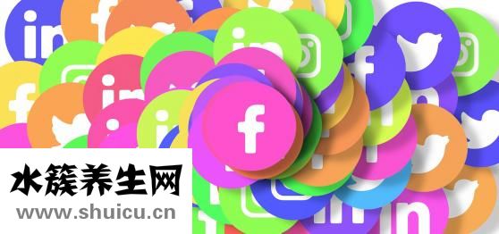 桂圓和龍眼的區別
