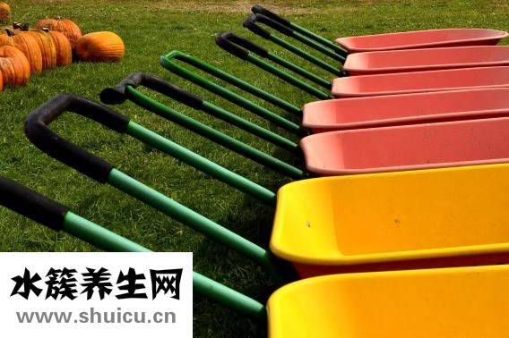 頭孢曲松鈉