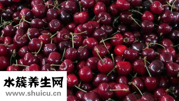 瑞珠滴眼液