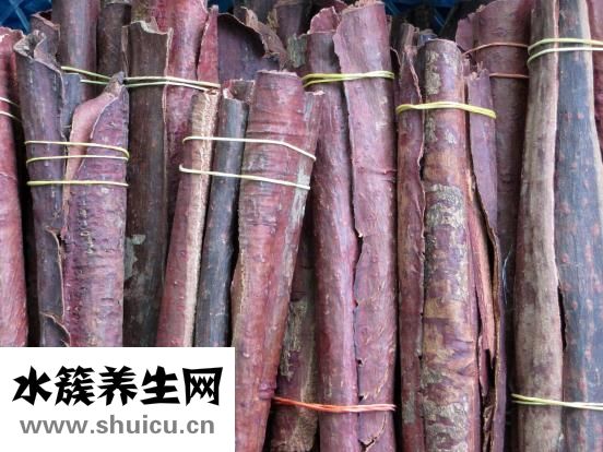 海參的做法