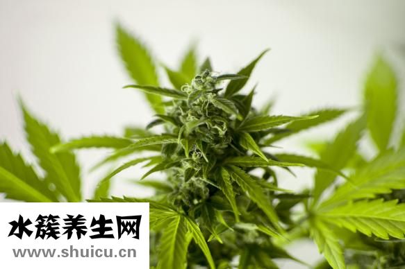 人參果怎么吃