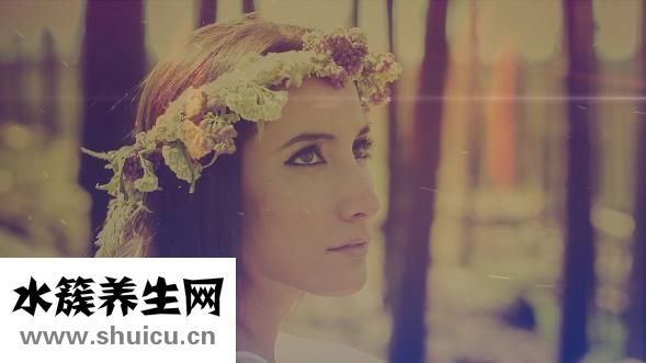 仙人掌圖片