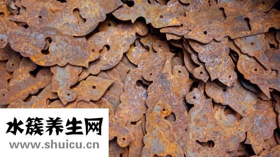琥珀酸亞鐵片