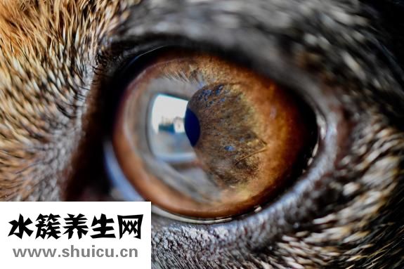 最新黃色網址