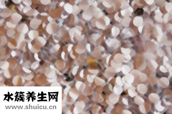 地奧司明片