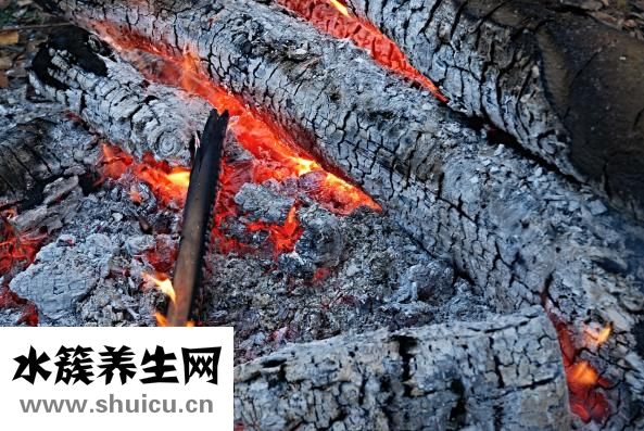 人體結構示意圖