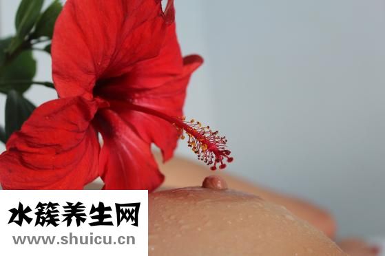 乳腺纖維瘤