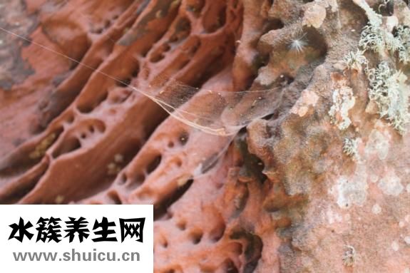 人體結構示意圖