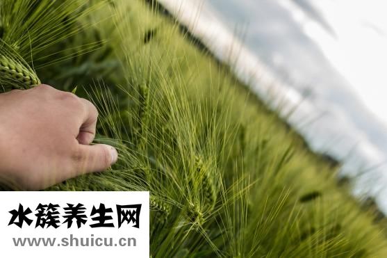 腺樣體面容