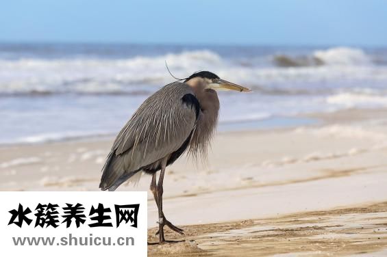 開塞露怎么用