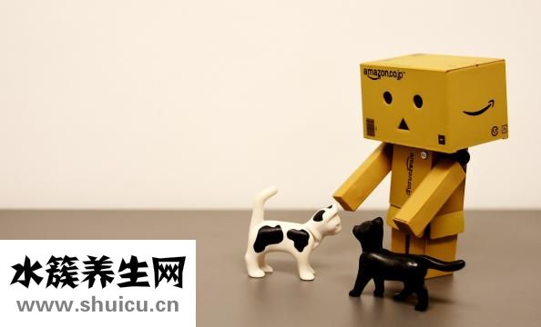 慢性胰腺炎