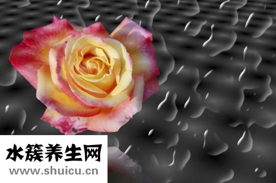 弱陽性是什么意思